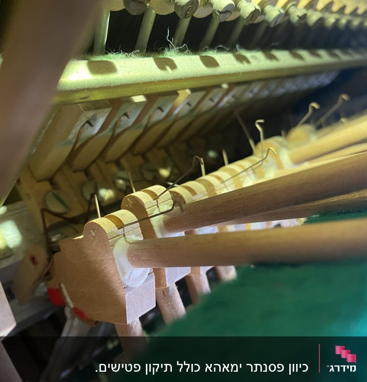 חלקים פנימיים של פסנתר, פינים ומיתרים